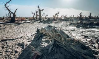 死亡沙漠在哪个地方